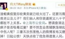 娱乐圈极品前任爆料小说,前任的致命爆料，揭开明星背后的秘密